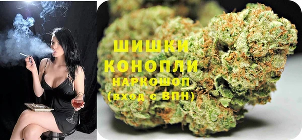 шишки Беломорск