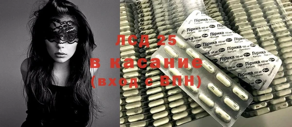 шишки Беломорск
