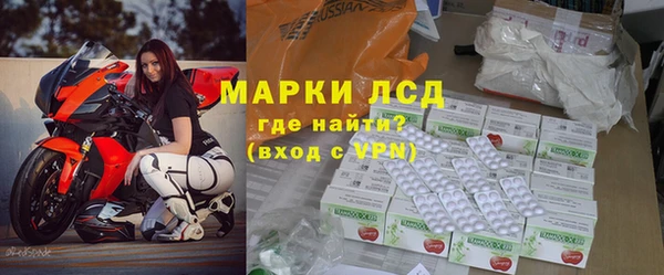 шишки Беломорск
