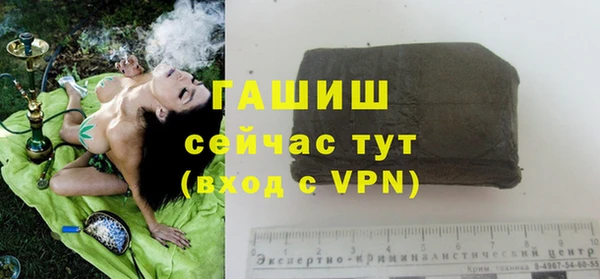 шишки Беломорск
