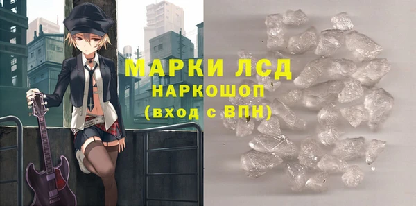 шишки Беломорск
