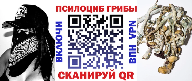 Галлюциногенные грибы Psilocybe Кунгур